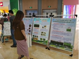 221124保护野生动物,建设绿美江门 (9).png