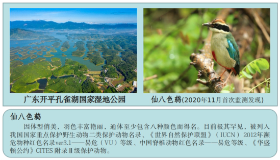 221229喜报!江门再添“国字号”生态名片广东开平孔雀湖国家湿地公园顺利通过国家验收 (1).png