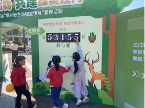 241212保护野生动物,共建绿美江门 (1).png